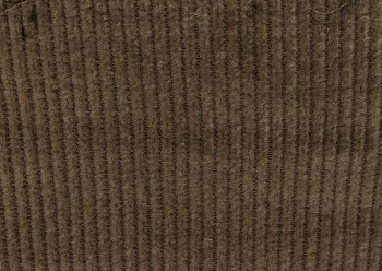 356 Kordstoff beige