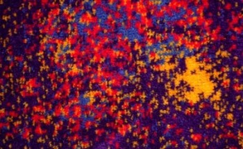 Bezugstoff Wolle psychedelisch