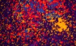 Bezugstoff Wolle psychedelisch
